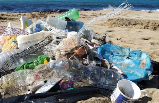 «Calabria invasa dai rifiuti. Non tornerò più»