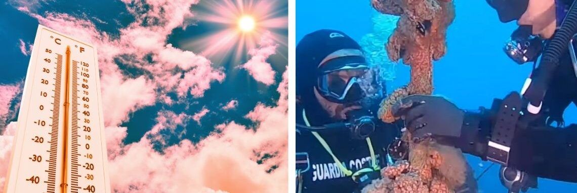 Mediterraneo rovente nell’inverno più caldo degli ultimi 40 anni