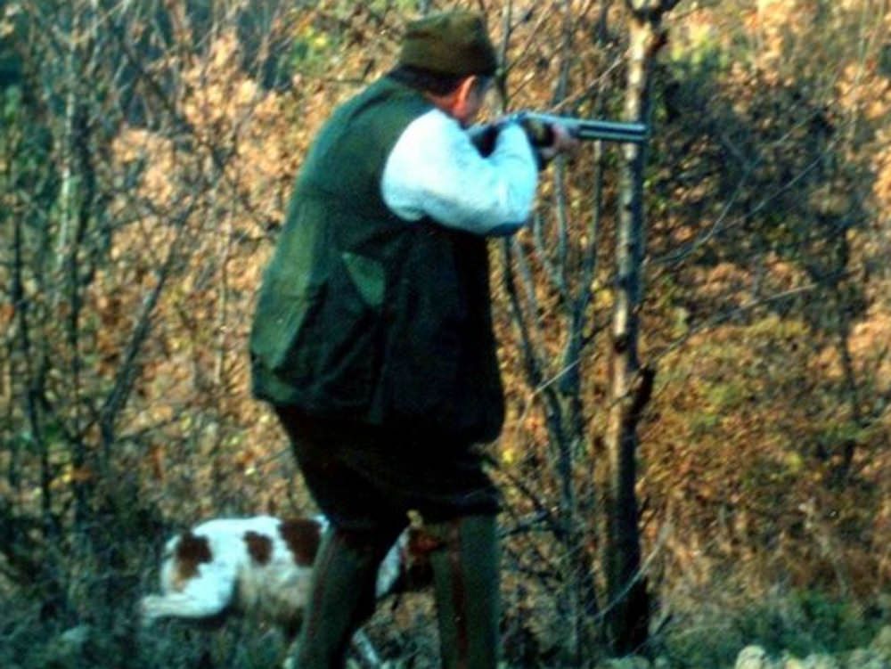 Caccia, da oggi si torna a sparare