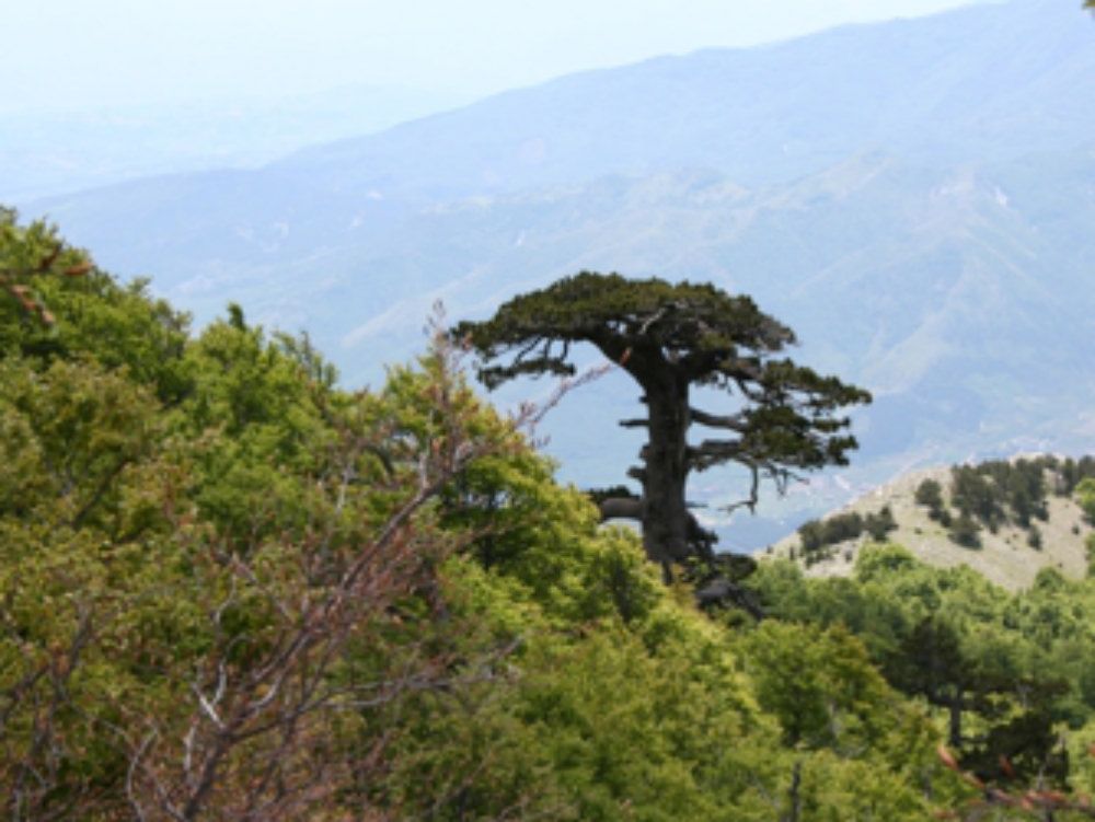 Parco del Pollino, rientra da solo il turista scomparso
