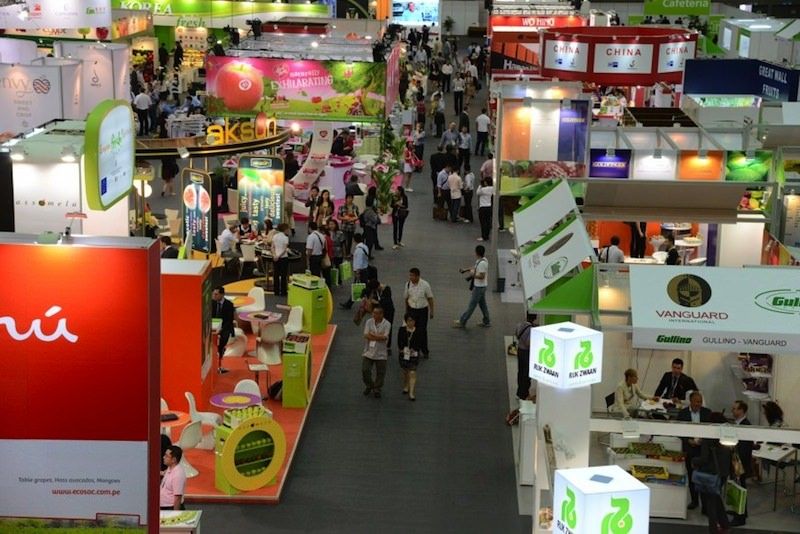 Fruit Logistica, positivo il bilancio della Regione