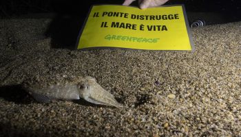 Ponte sullo Stretto, Greenpeace lancia il progetto “Aggiungiamo bellezza al mare”