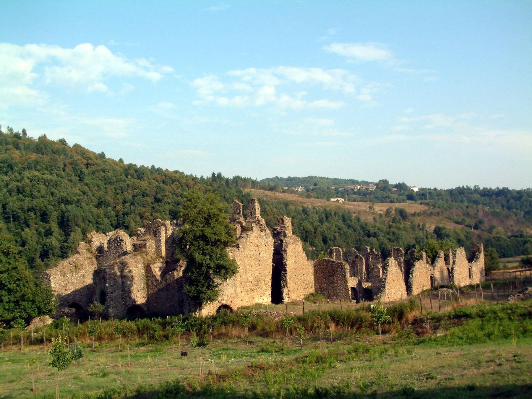In cammino sulle orme di Gioacchino da Fiore