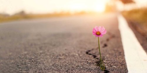 Dal Pnrr per la sanità al turismo, la Calabria che semina per la propria rinascita