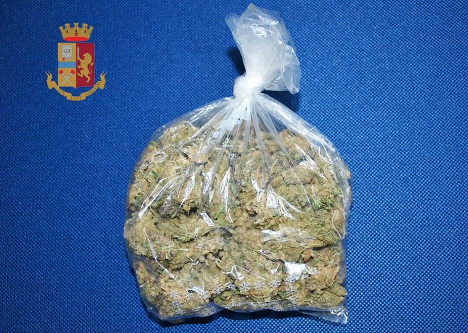 Rosarno, in bici con 100 grammi di cannabis: arrestato un extracomunitario
