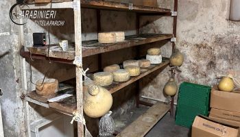 Sequestrati oltre 10 quintali di prodotti caseari a Mormanno: denunciato il titolare di una azienda