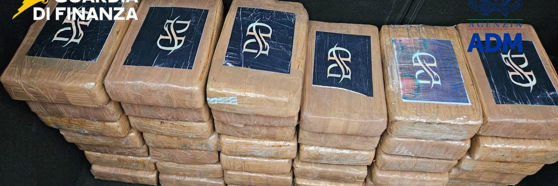 Sequestrati 53 chili di cocaina nel porto di Livorno: valore 20 milioni