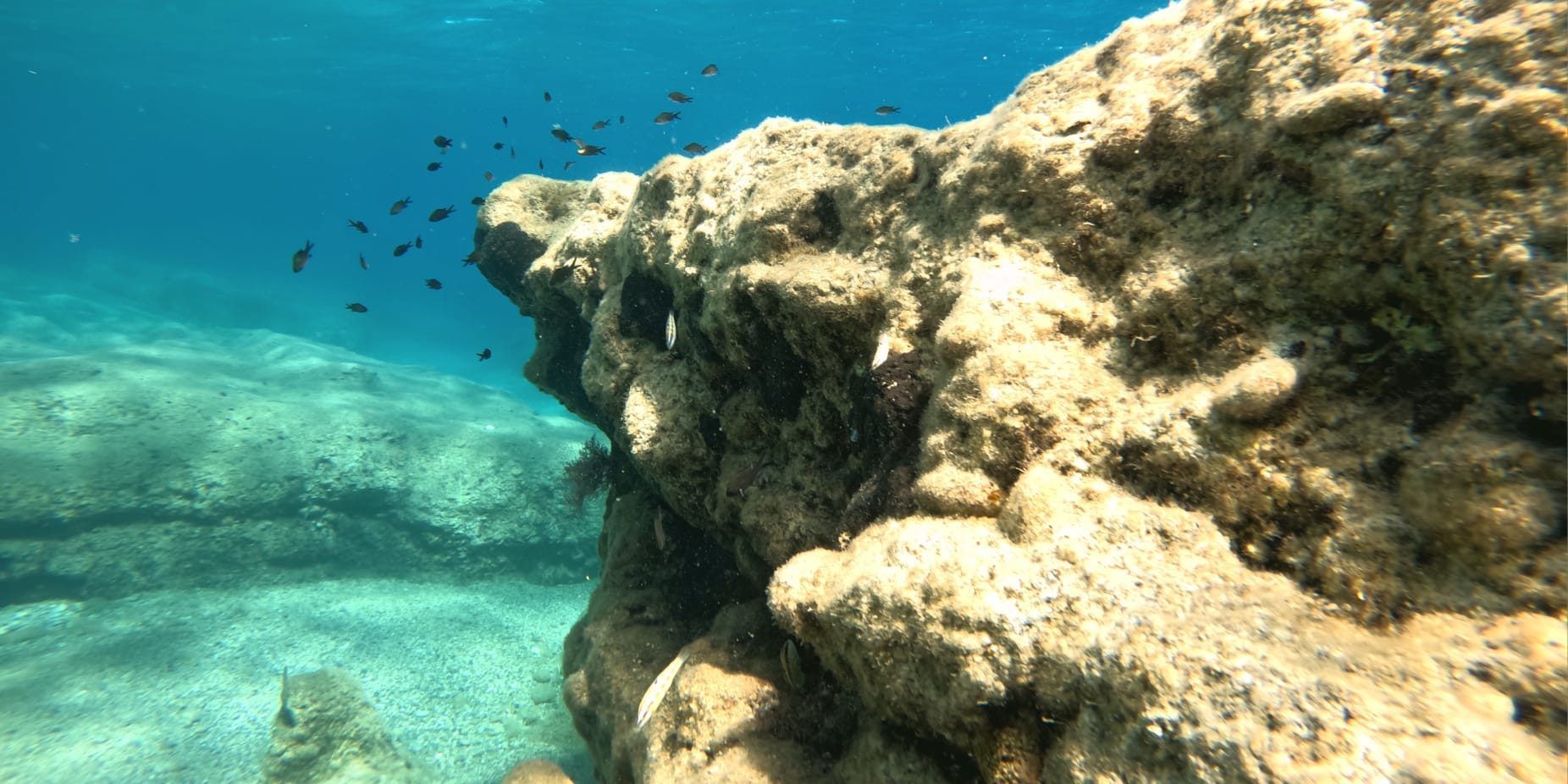 Calabria Sub and Beach Games: a Montepaone sport, mare e inclusione