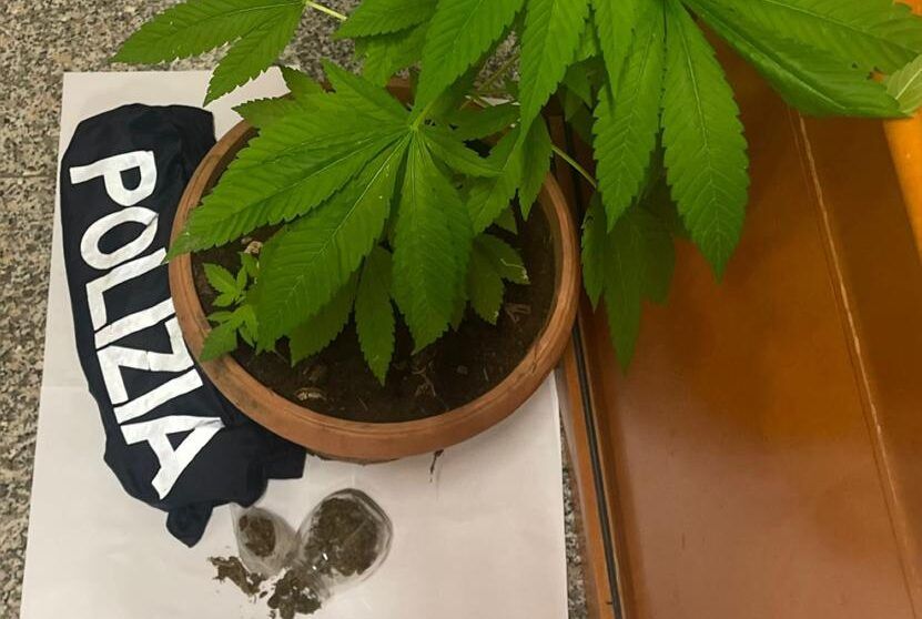 Droga e munizioni in casa, un cosentino finisce ai domiciliari