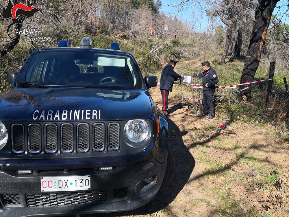 Tentata truffa ai danni della Ue, sequestrato un bosco comunale a Scala Coeli