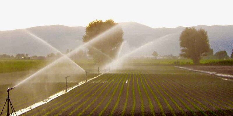 «Consorzi, programmazione ferma al palo. A chi giova?»