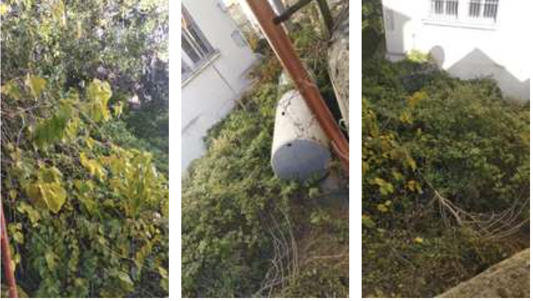 «Nel cuore di Catanzaro l’ex scuola Maddalena sempre più fatiscente»