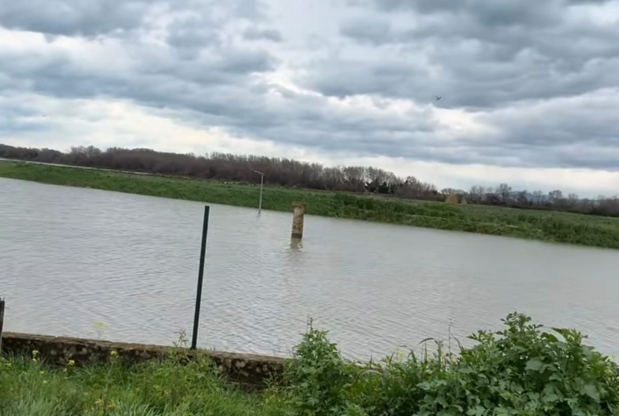 Parco archeologico di Sibari, l’area di Casa Bianca «è completamente invasa dall’acqua» – VIDEO