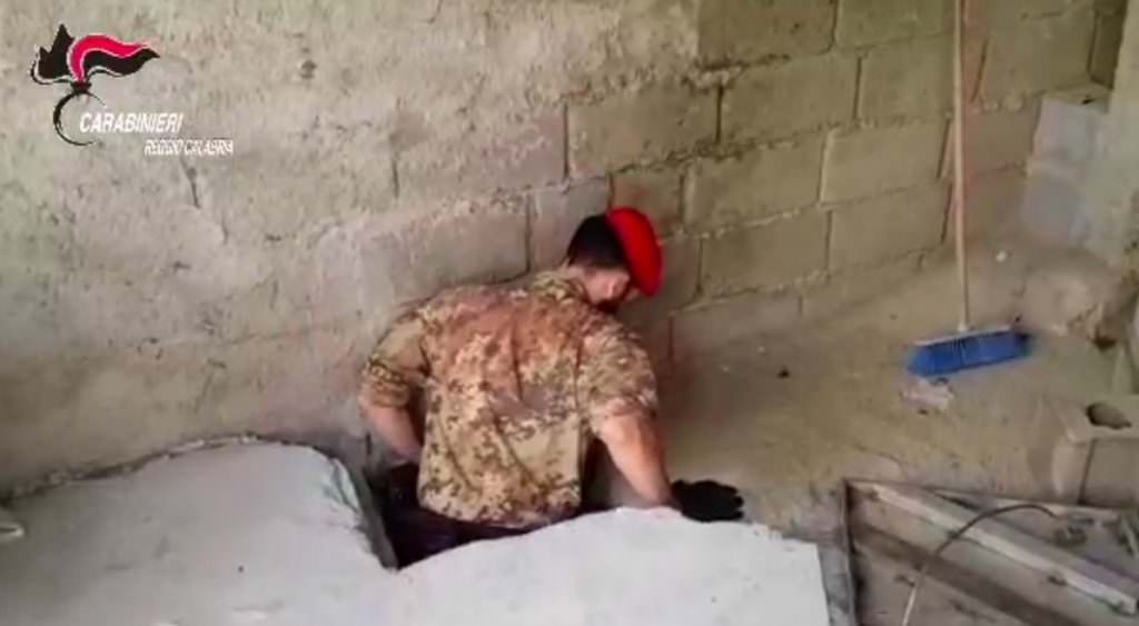 Bunker per nascondere una piantagione di droga nel Reggino, in manette padre e figlio  – VIDEO