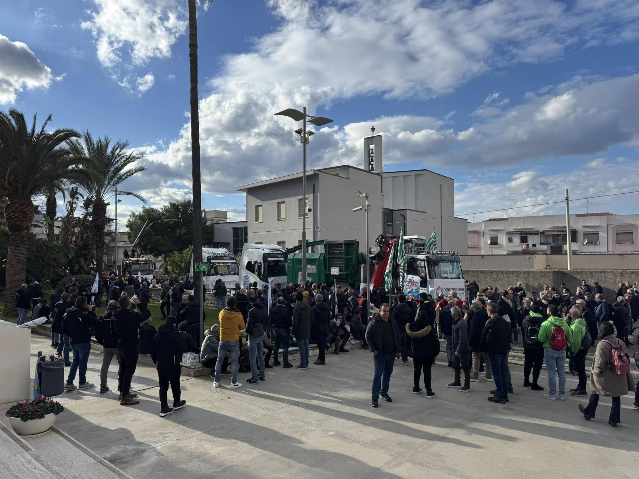 Centrale del Mercure, il Comitato esulta: «Il governo ha fatto giustizia»