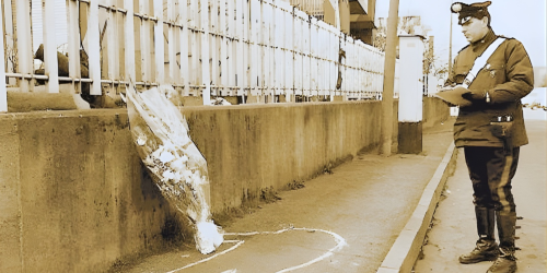 omicidio Vivaldo rho