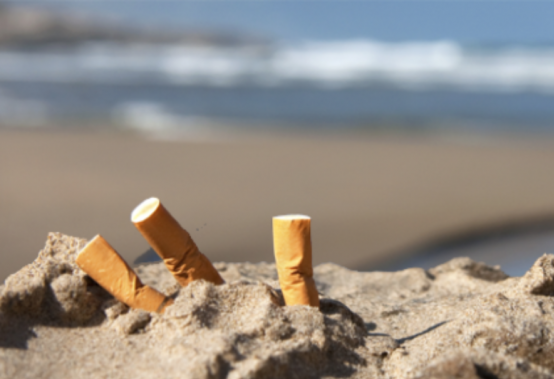 Le iniziative di Plastic Free nella Locride. «I mozziconi di sigaretta tra i rifiuti più diffusi e inquinanti» – VIDEO