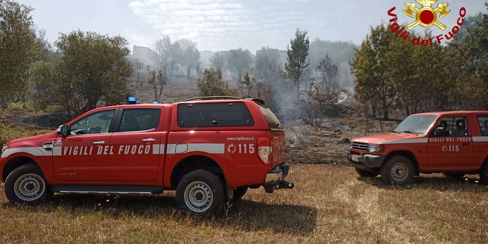 Oltre 20 incendi nel Vibonese, vigili del fuoco in azione – FOTO
