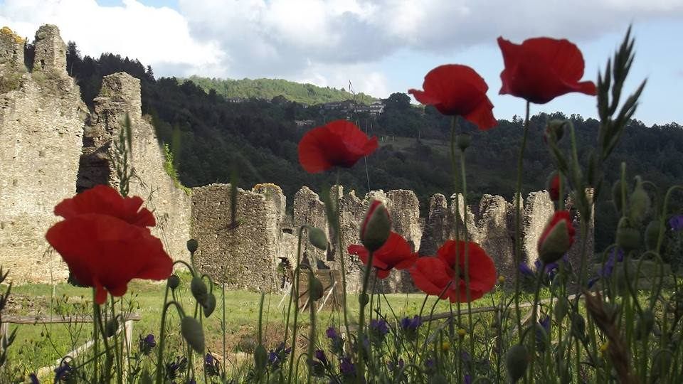Restare per aprirsi al mondo: il sogno di una montagna di pace
