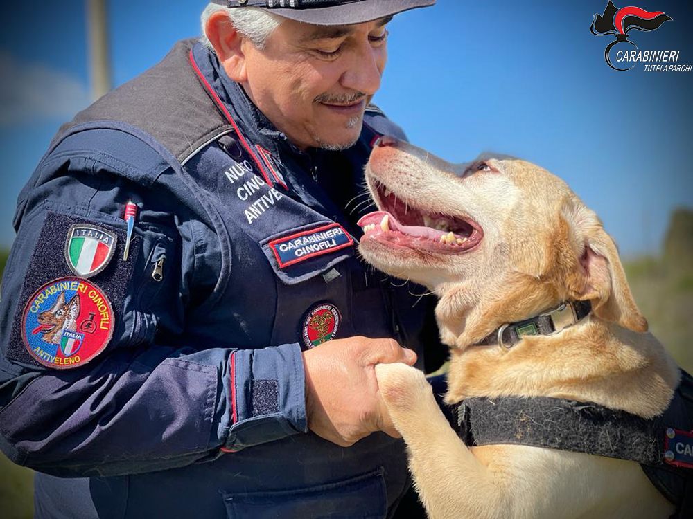 Operazione contro gli avvelenamenti dei cani nel Parco del Pollino, in azione unità cinofile