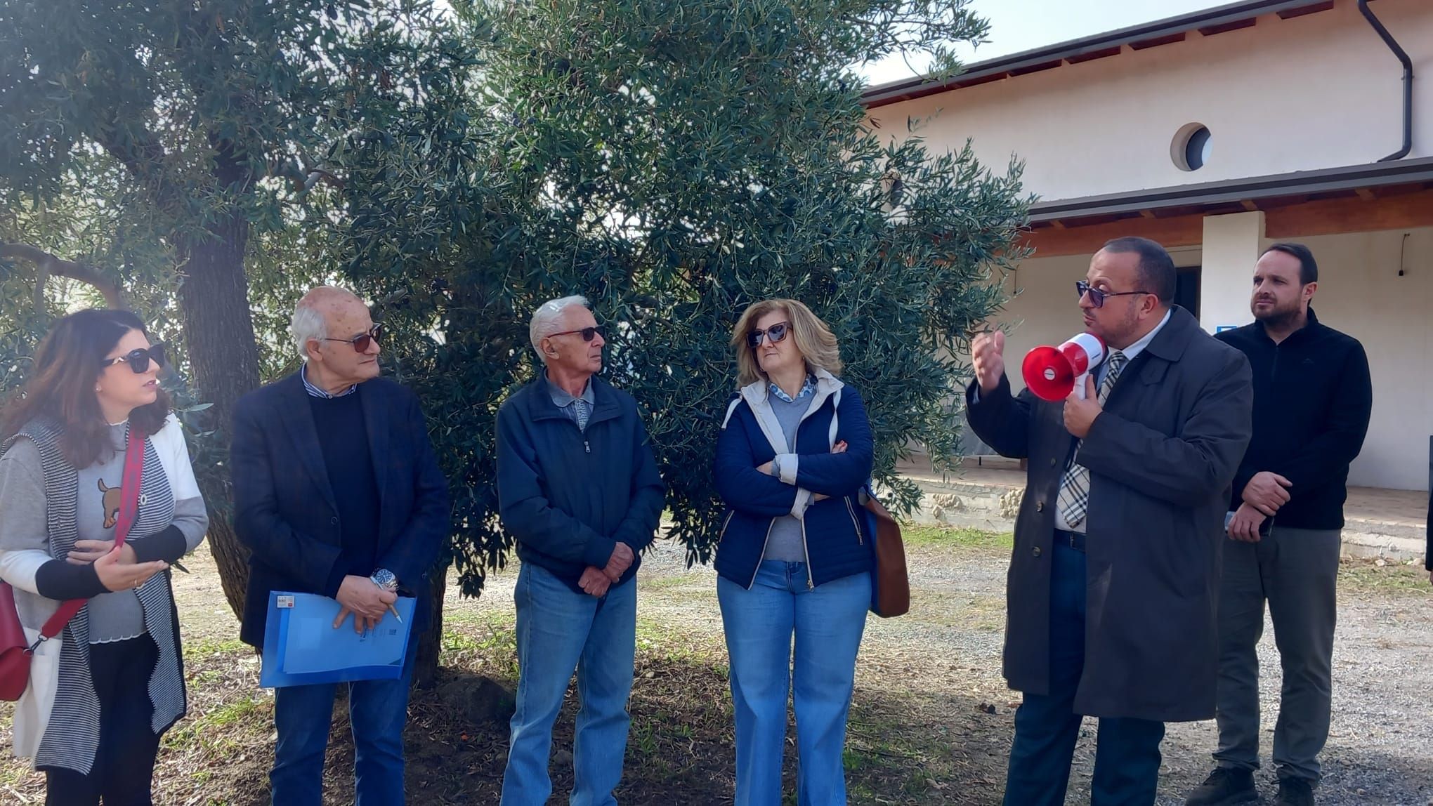 Caccuri celebra il “Re Ulivo”, simbolo di storia e tradizione mediterranea