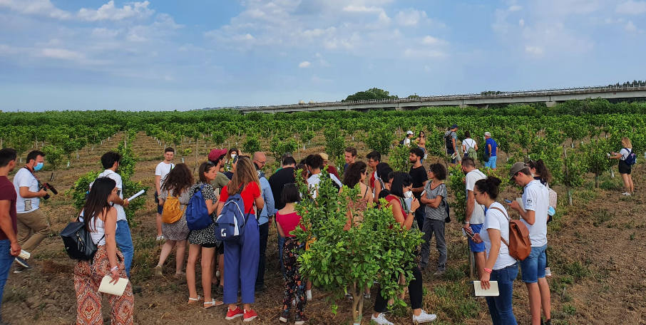 Psr e agricoltura sostenibile: al “Rural camp” anche gli studenti delle tre Università calabresi
