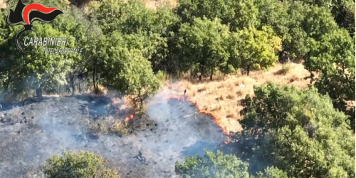 tolleranza zero regione calabria