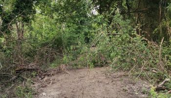 Argini del Crati, Papasso: «Lattughelle e i Laghi di Sibari non sono al sicuro»