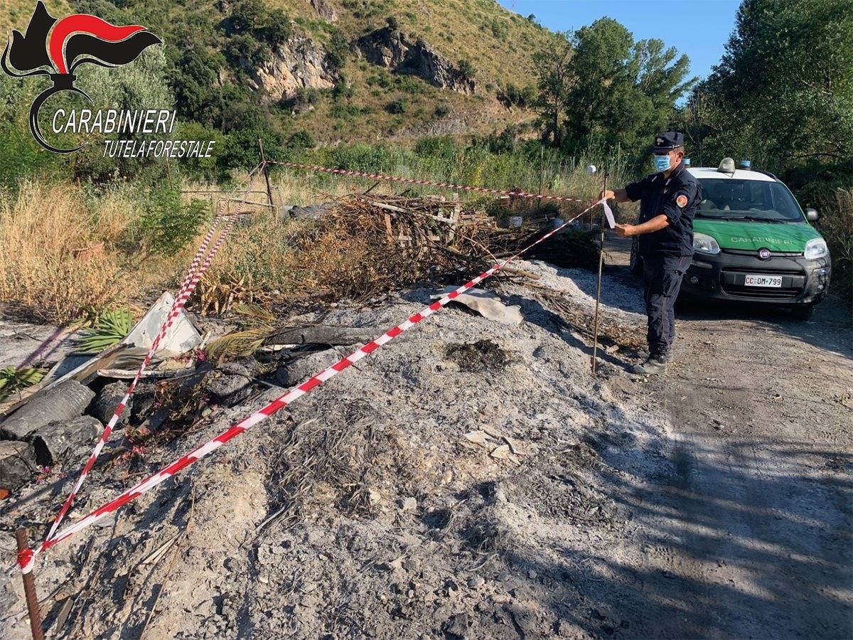 Combustione illecita di rifiuti e taglio abusivo, due denunce nel Cosentino