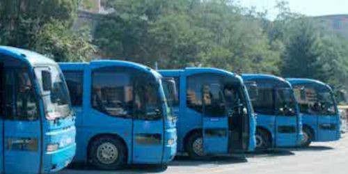 Alcuni bus delle Ferrovie della Calabria