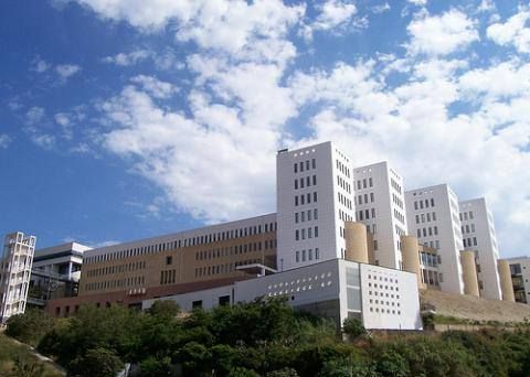 Alla Mediterranea l'"Agraria Open Day"