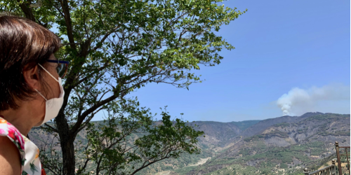 amalia bruni area grecanica