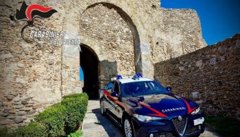 Carabinieri in un’autorimessa a Mileto, sequestrate 21 piante di cannabis e semi di papavero