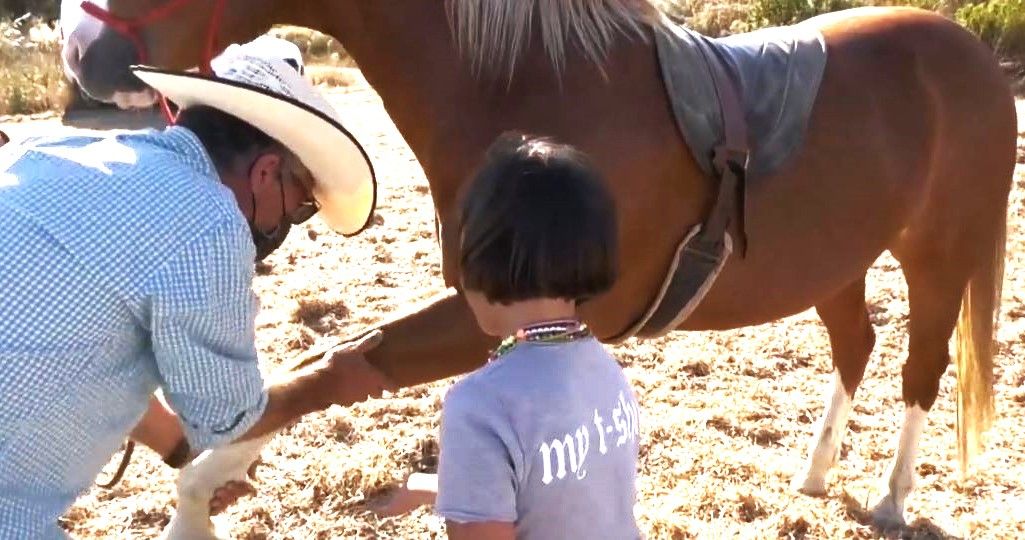 Agricoltura e sociale, «entro fine anno approveremo la legge regionale» – VIDEO