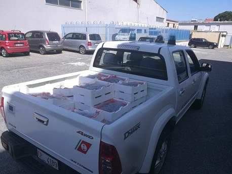 Pesca di frodo, gite in barche e novellame "fuori legge". Multe e sequestri nel Crotonese