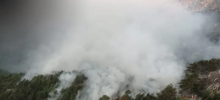 Brucia il Pollino, fiamme sul Serra Dolcedorme: a rischio i pini loricati