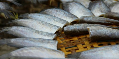 mercato ittico pesce mancuso nicotera