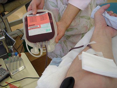 Allarme sangue a Cosenza, i donatori sono sempre meno