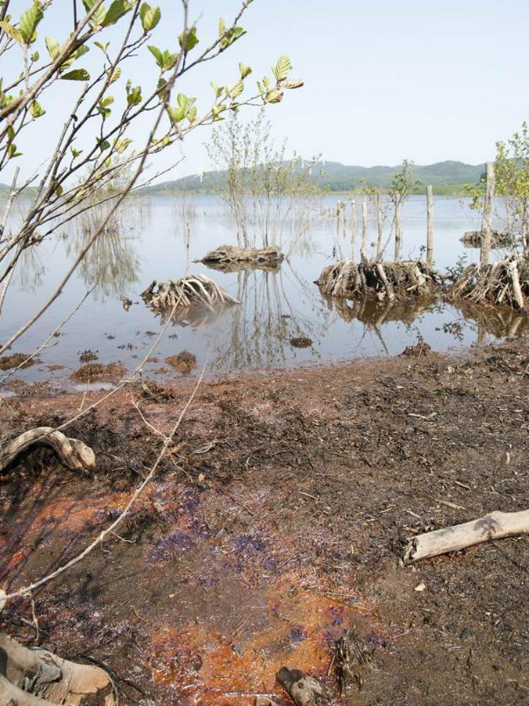Benzene nell`Alaco «Acqua non potabile»