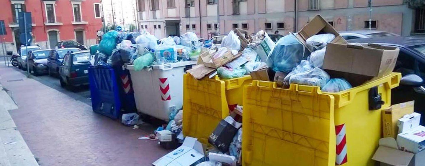 «Un inceneritore a Falerna? Non esiste»