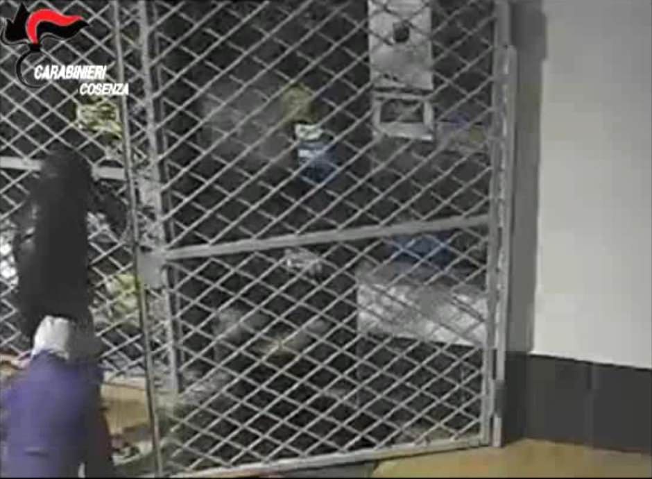 In manette la banda che terrorizzava Corigliano – VIDEO