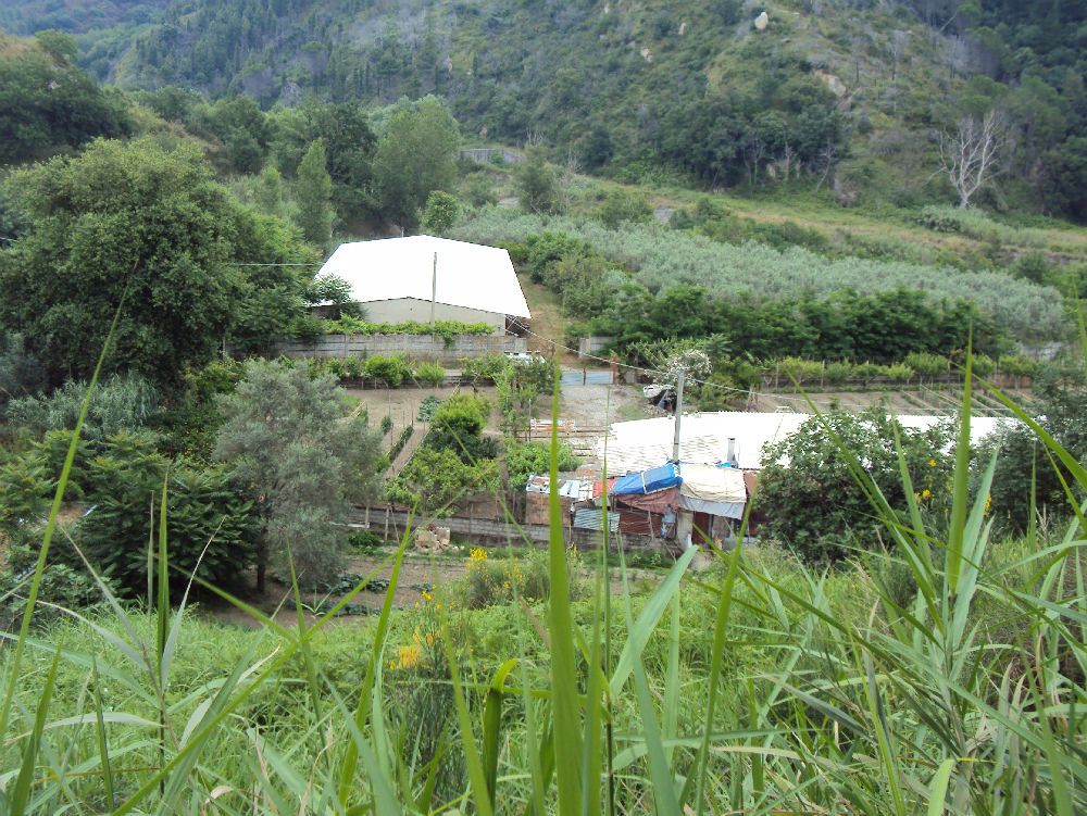 Rifiuti tossici nel fiume Oliva, arrestato un imprenditore