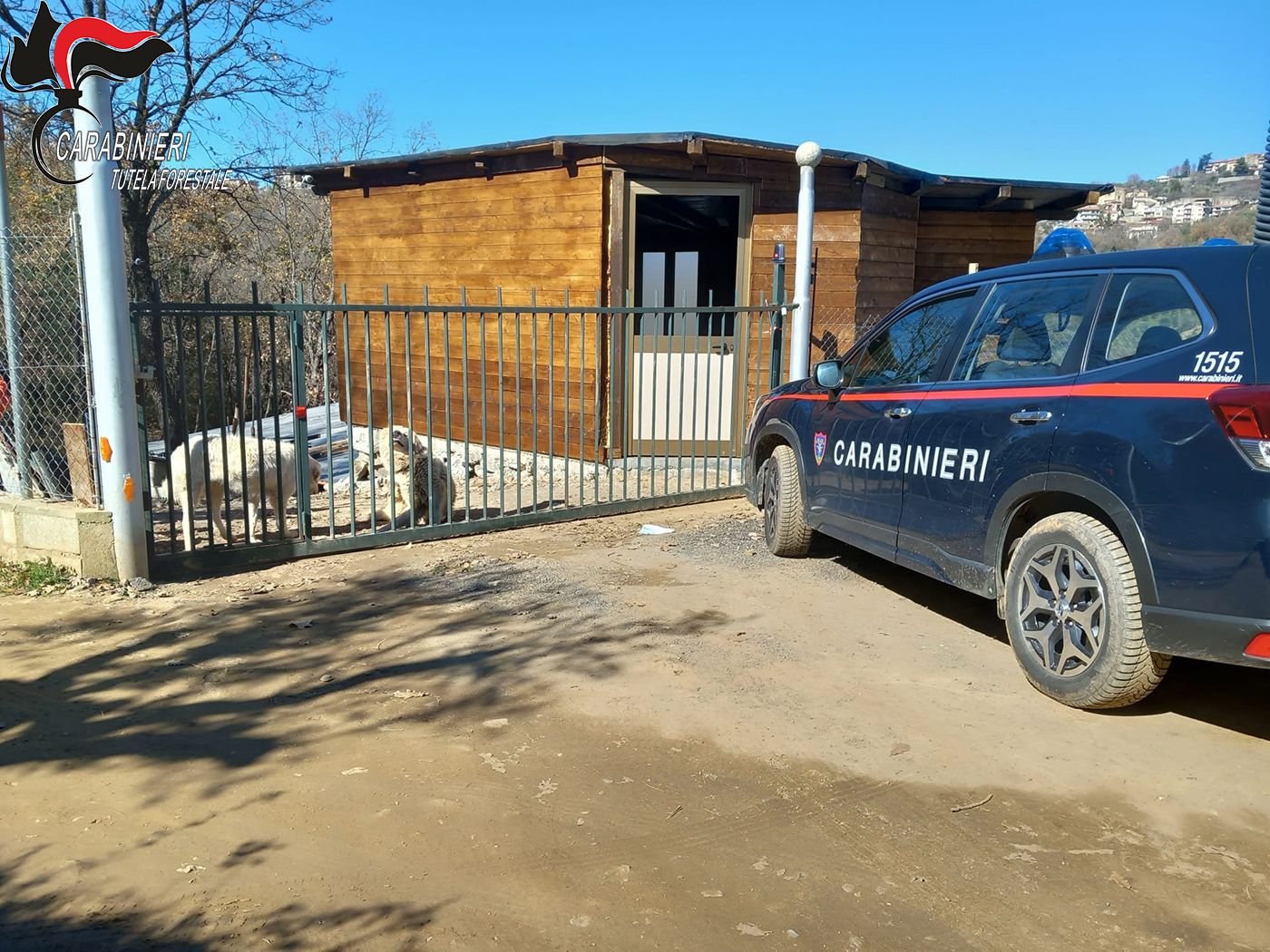 Realizza abusivamente una casetta nel Cosentino, denunciato