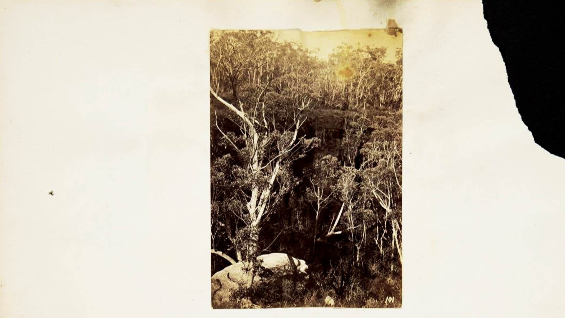 Mattia Biondi alla Mostra Internazionale del Nuovo Cinema