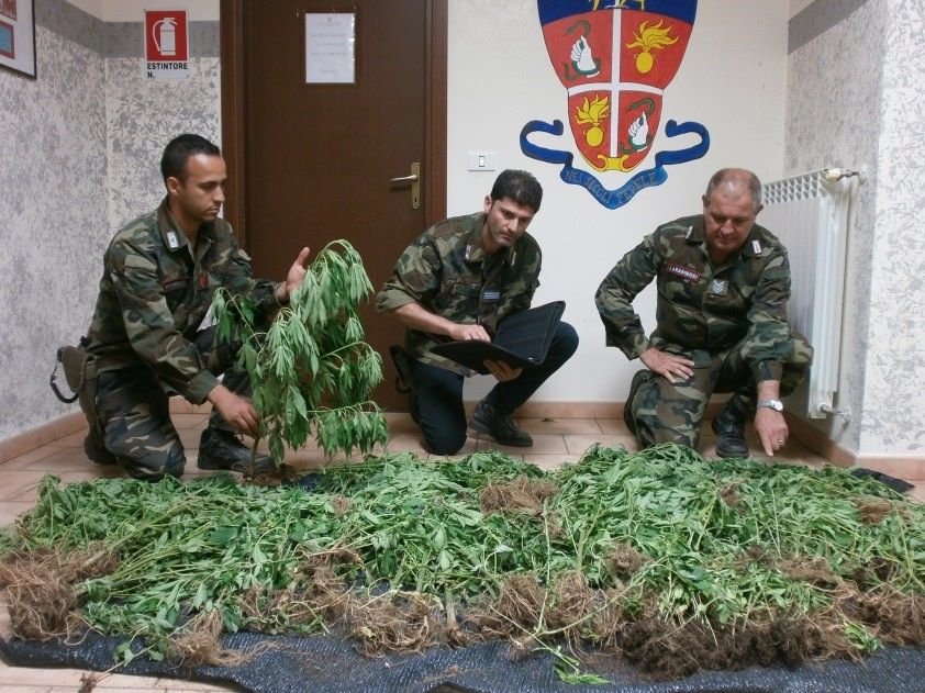 Coltivazione e traffico di droga, in manette due ventenni