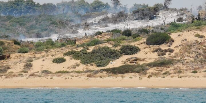 Incendi, Legambiente: «Basta con l’emergenza infinita. Individuare le responsabilità»