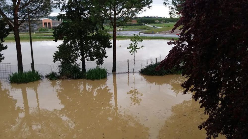 Antezza-Oliverio: «Sostenere aziende agricole e zootecniche colpite da maltempo»