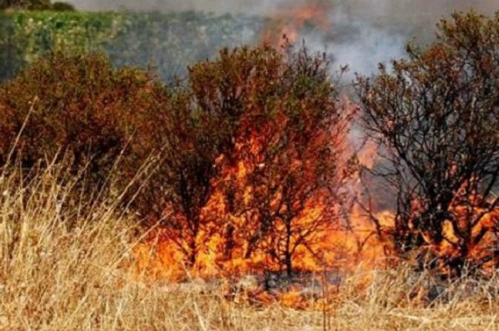 Arrestato piromane a Crotone