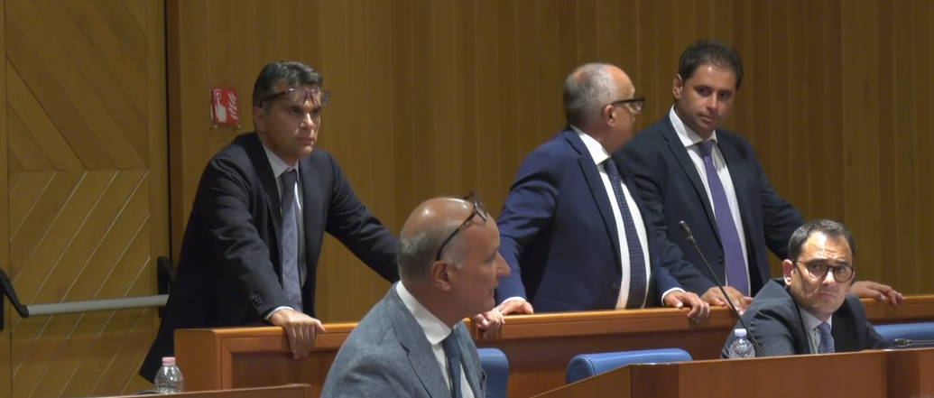 «Il Pd ha la sindrome di Calimero, la smetta con la politica della lagna»