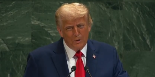 trump all'Onu